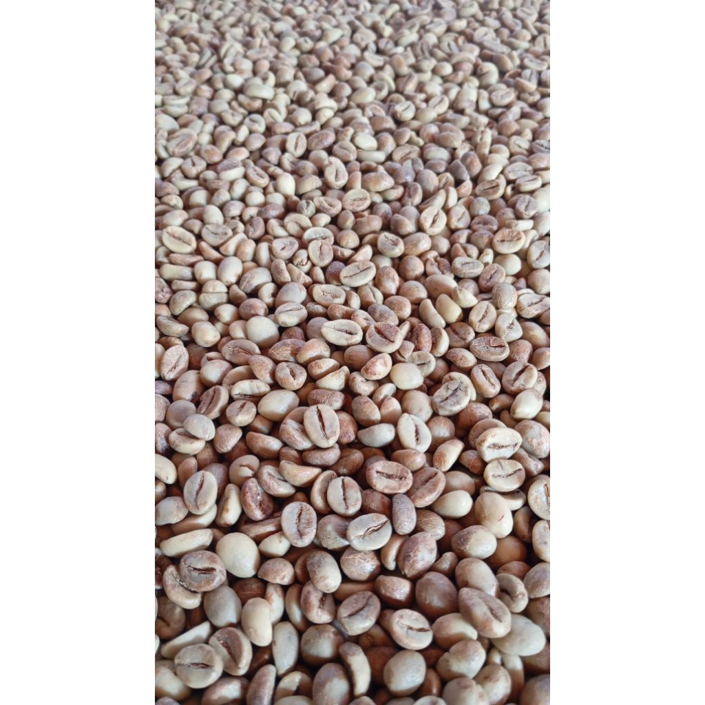 greenbean fine robusta temanggung 5 kg