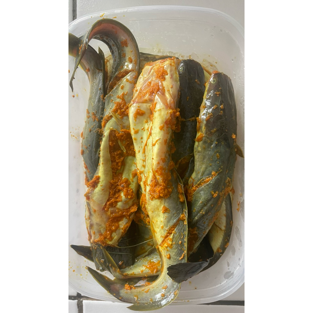 Lele Ungkep Bumbu Kuning