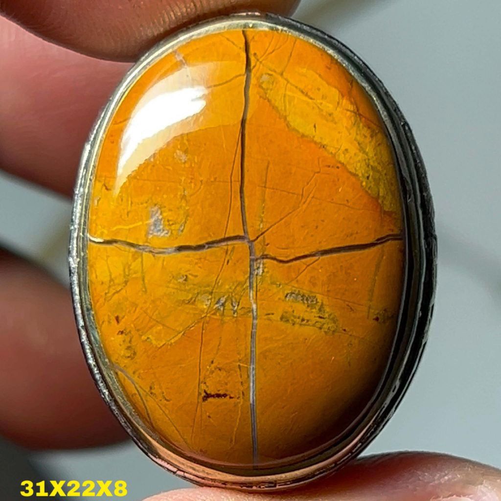 BATU AKIK TAPAK JALAK