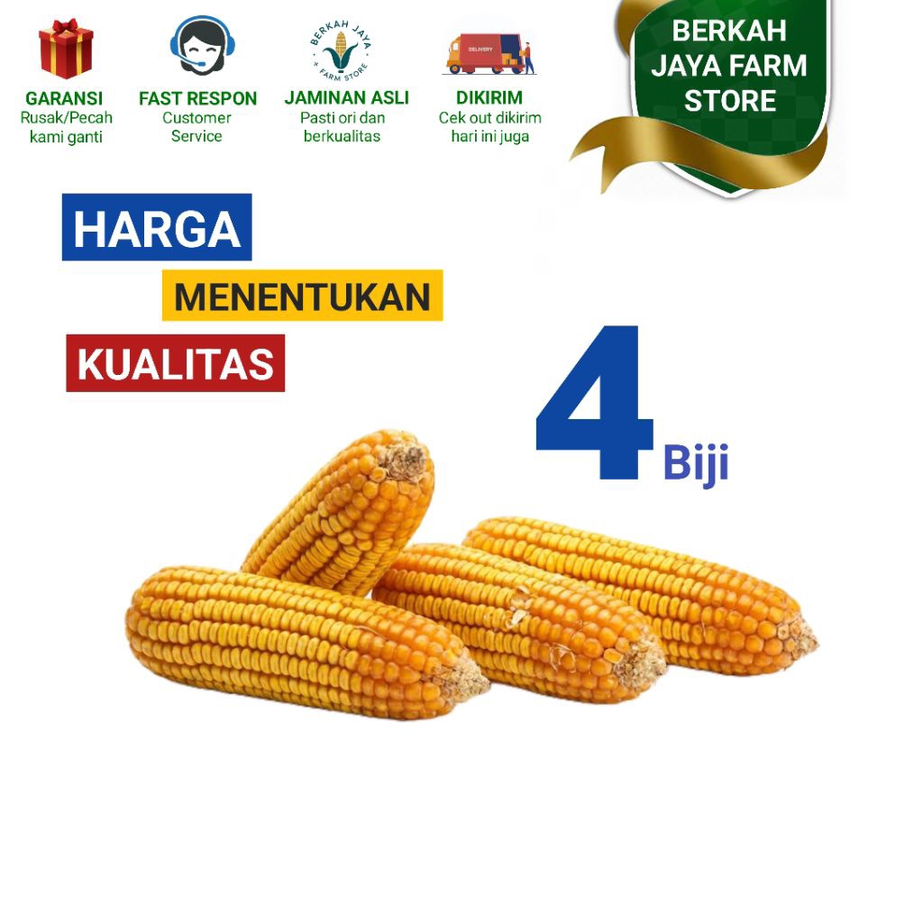 Termurah jagung glonggongan 4 biji Utuh, Cocok untuk Konsumsi dan Pakan