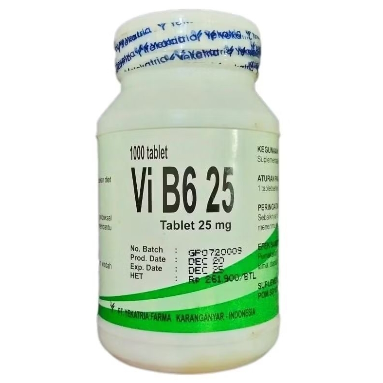 VI B6 25 - Vitamin B6 Tablet 25mg (1000's /Botol)