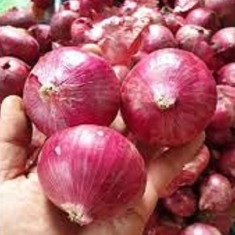 Bawang Merah India 1 Kilo