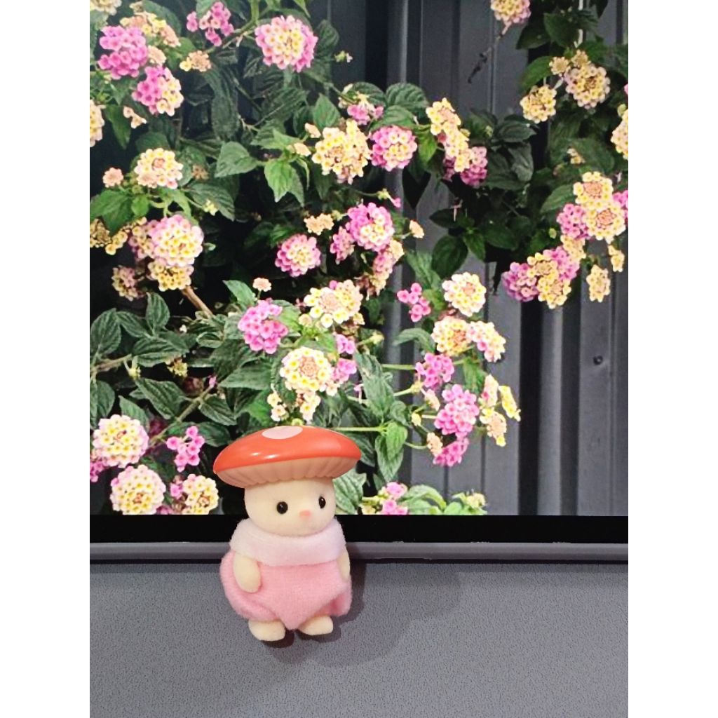 Sylvanian Families, Mushroom Cat