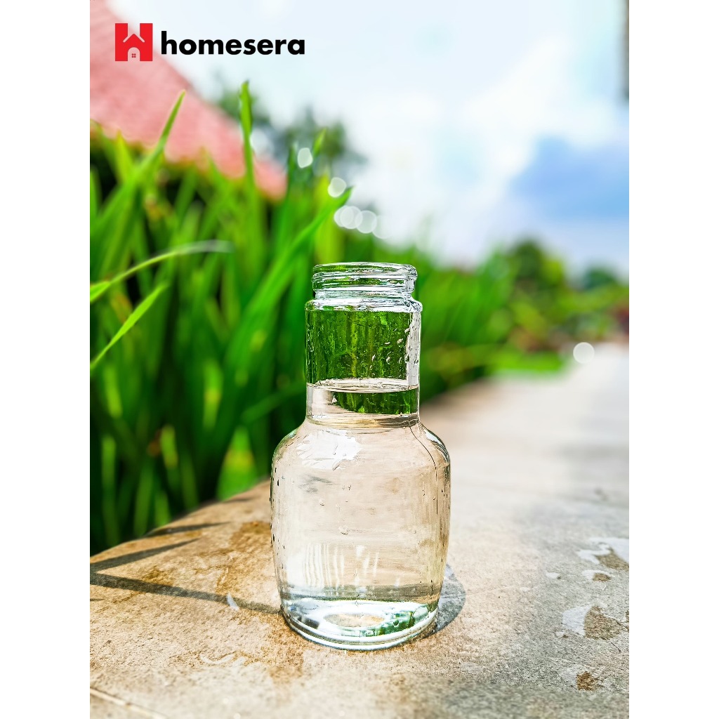 INFUSION WATER MINI WATER JUG WITH LID | BOTOL KACA DENGAN TUTUP LDJ | BOTOL MINUM KACA | JUG KACA S