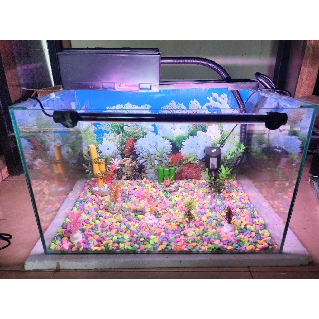 AKUARIUM kaca 50x30x30