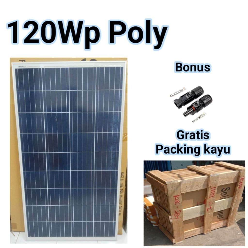 Solar Panel Maysun 120Wp Poly Solar Cell Panel Surya