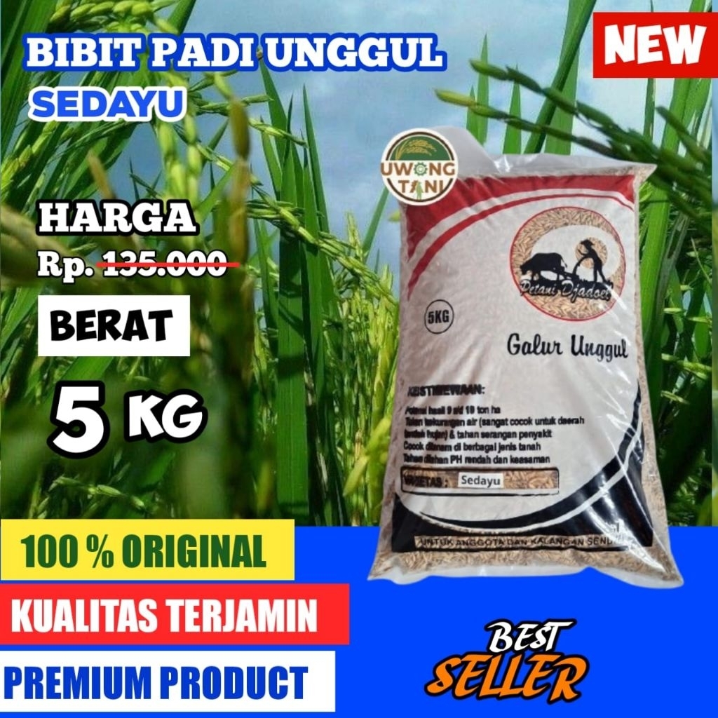 BENIH PADI BIBIT PADI UNGGUL SEDAYU 5 KG