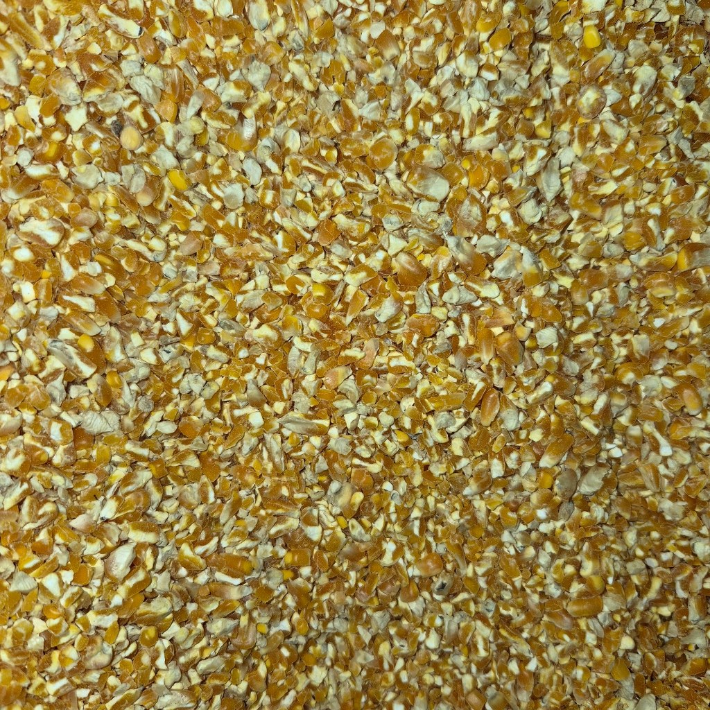 Jagung Giling Pakan Ayam Kampung & Pedaging Makanan Ayam Berkualitas 1 kg