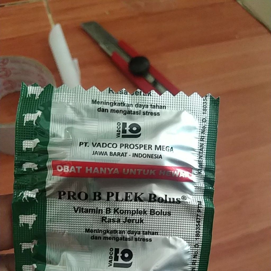 Pro B Plek  Bolus vitamin b komplek bolus rasa jeruk