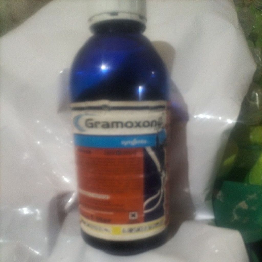 gramoxone syngeta racun rumput ampuh