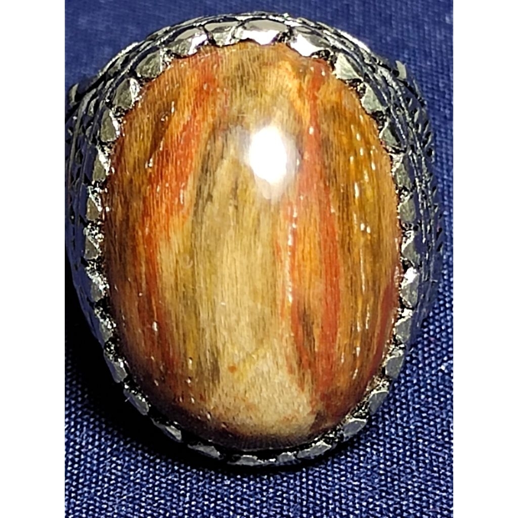 Natural Nagasari Petrified Wood / Batu Fosil Kayu Nagasari, 1