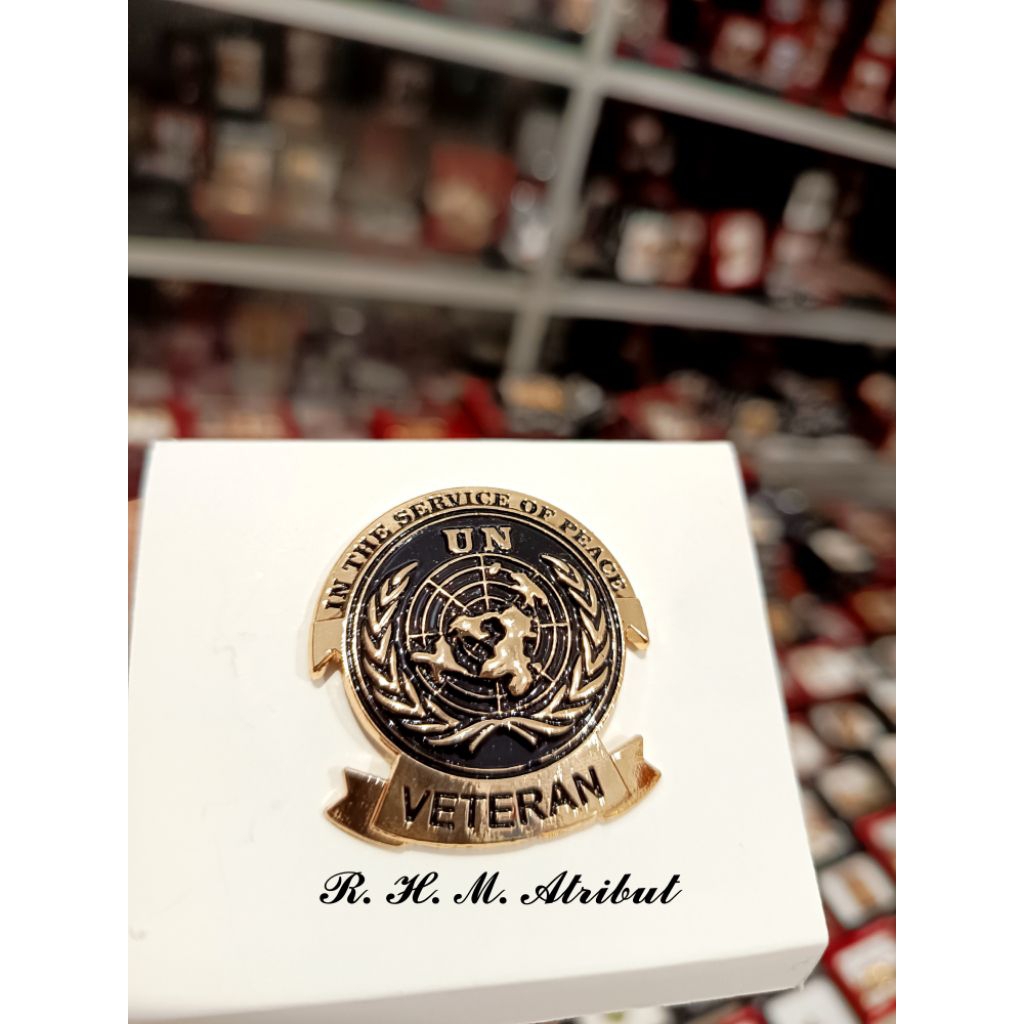 BREVET WING VETERAN UN VETERAN UN UNIFIL