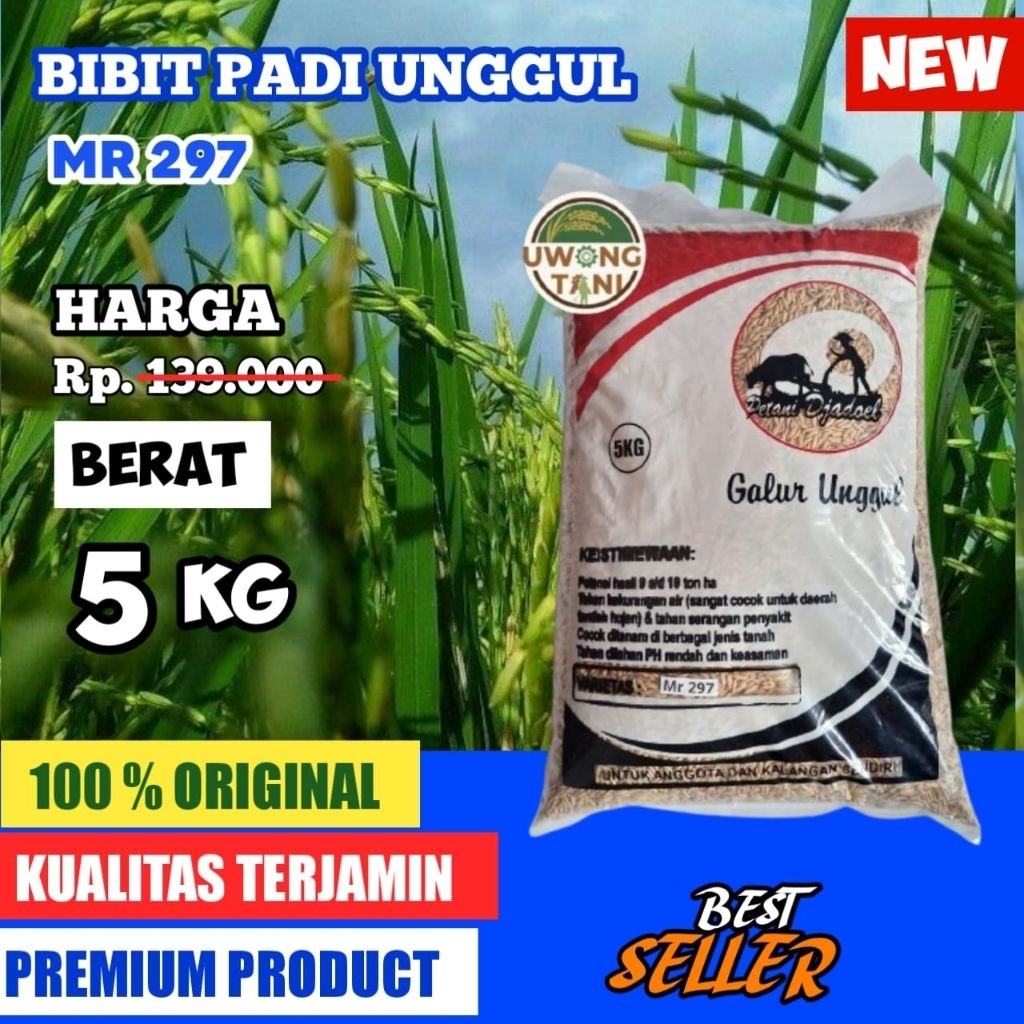 BENIH PADI BIBIT PADI UNGGUL MR 297 5 KG