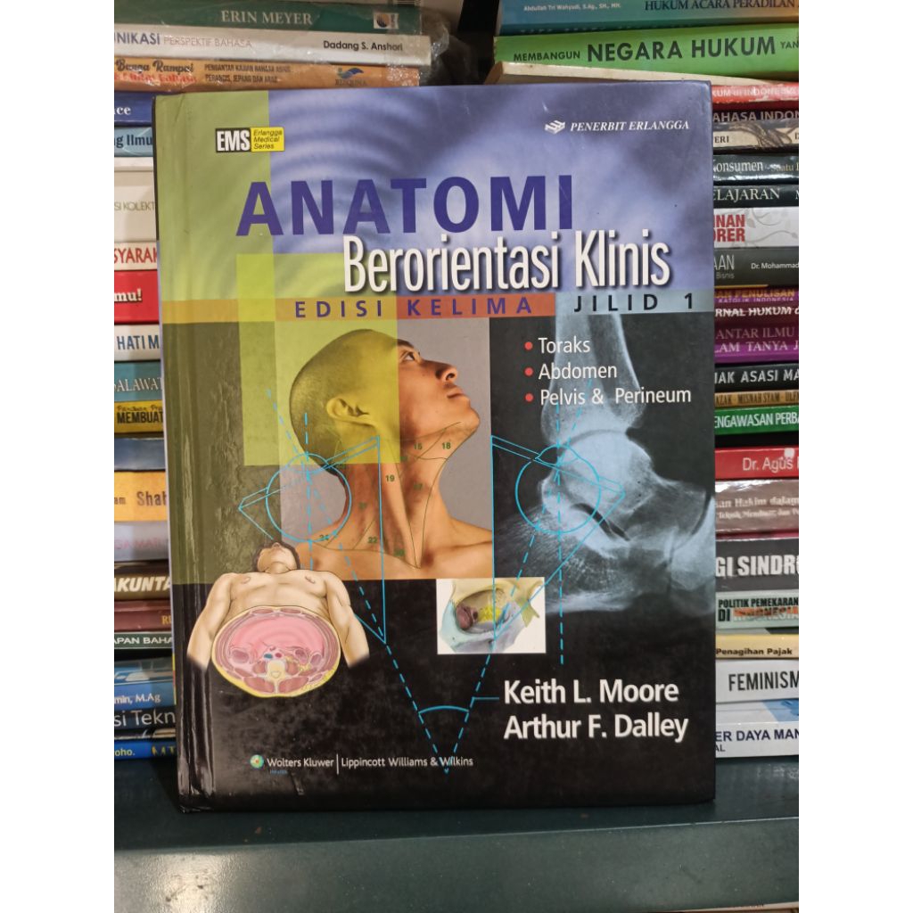 Original Anatomi berorientasi Klinis