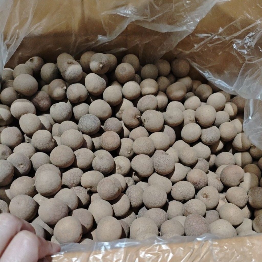 Longan kulit,/longan liap /longan kering