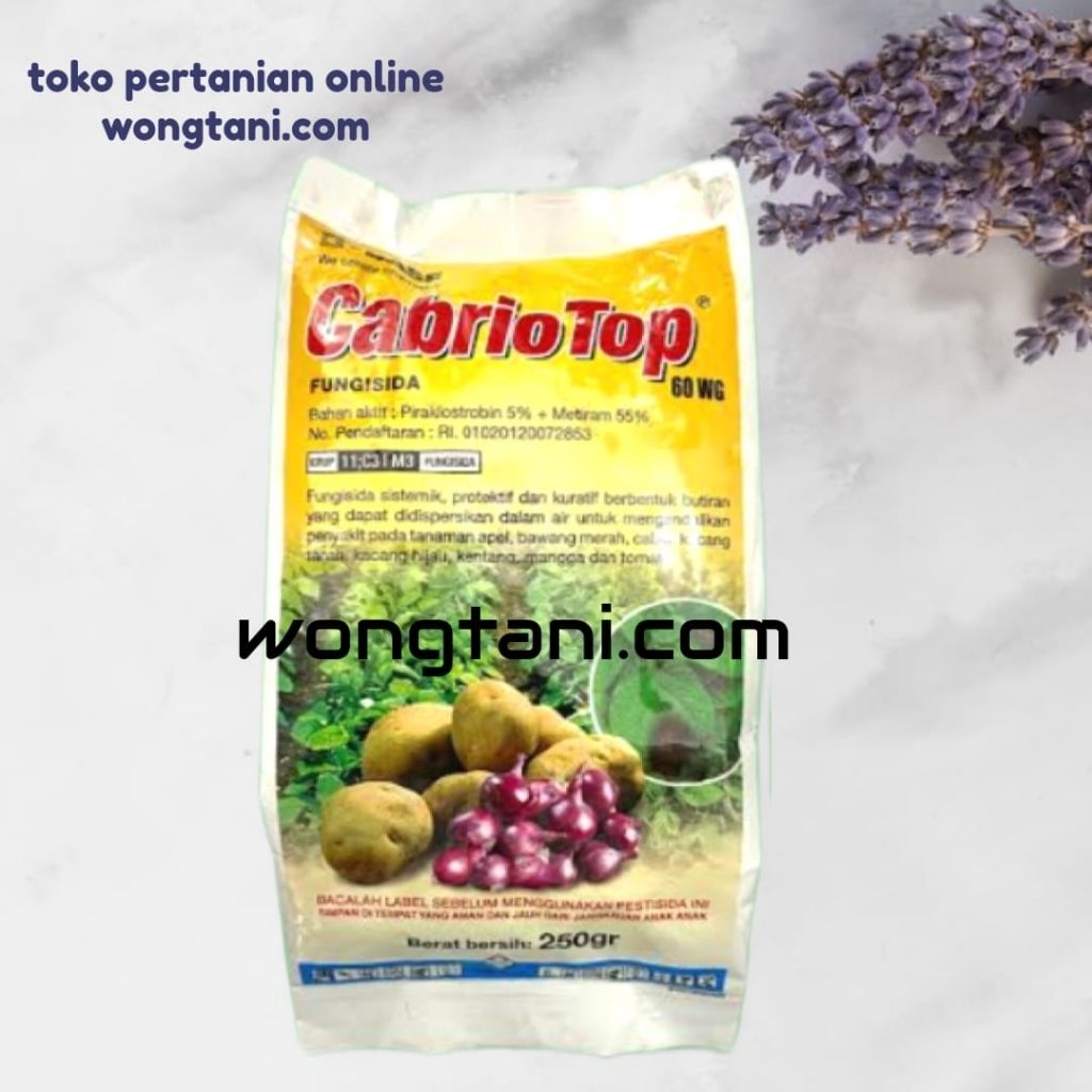 fungisida cabrio top 250gram cabio top kabrio top 250gram