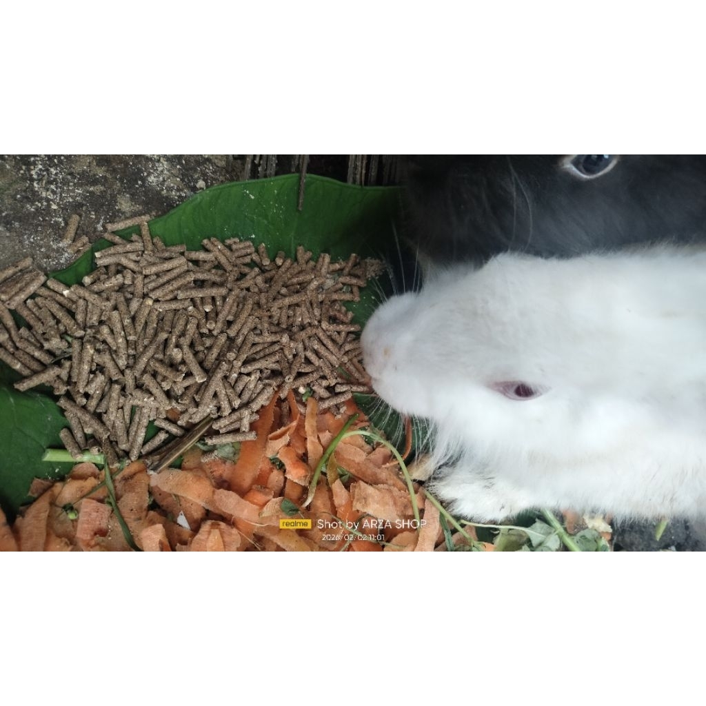 pelet kelinci 1kg