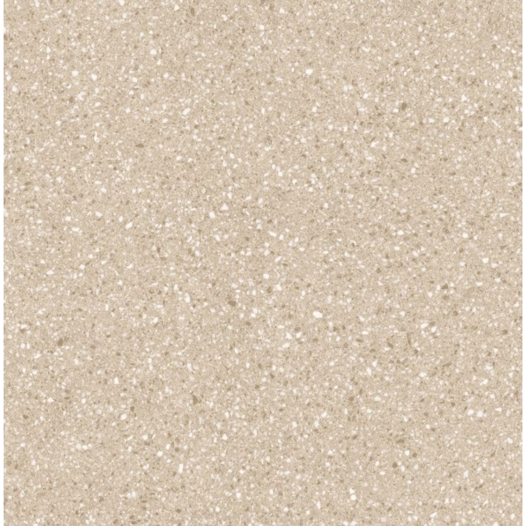 GRANITE 60×60 ARNA ARCADIA BEIGE | MATT