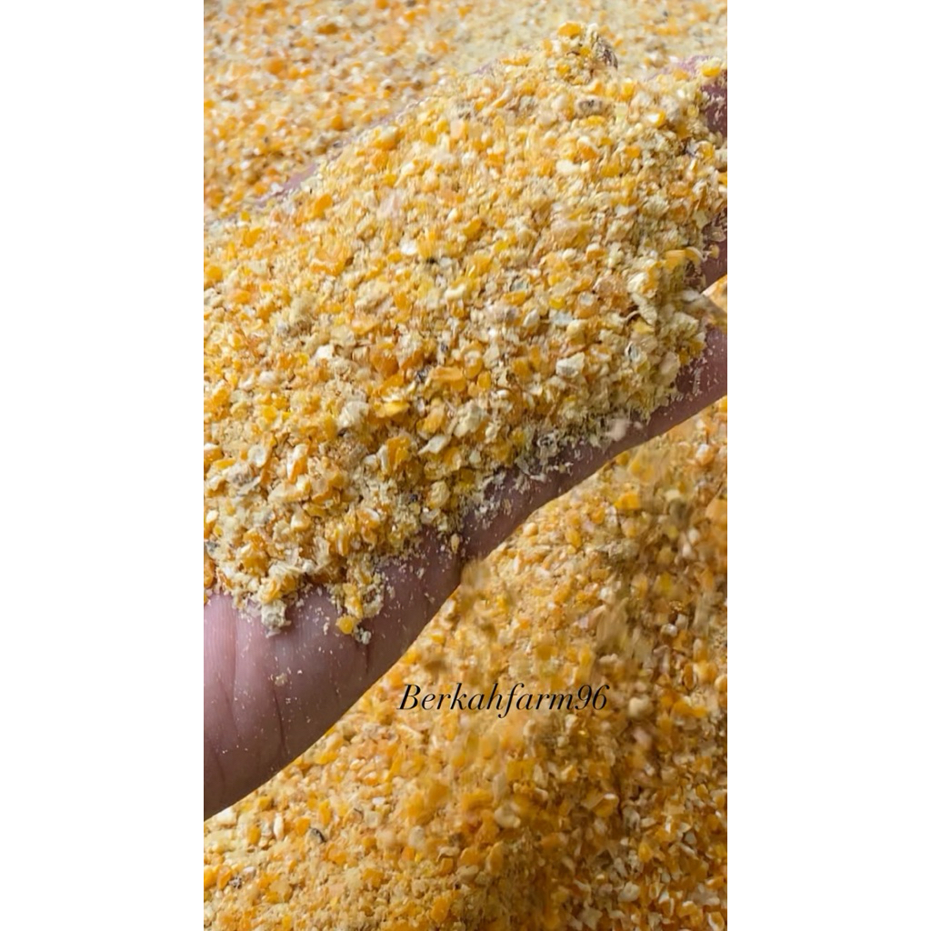 Jagung giling pakan ayam 1kg