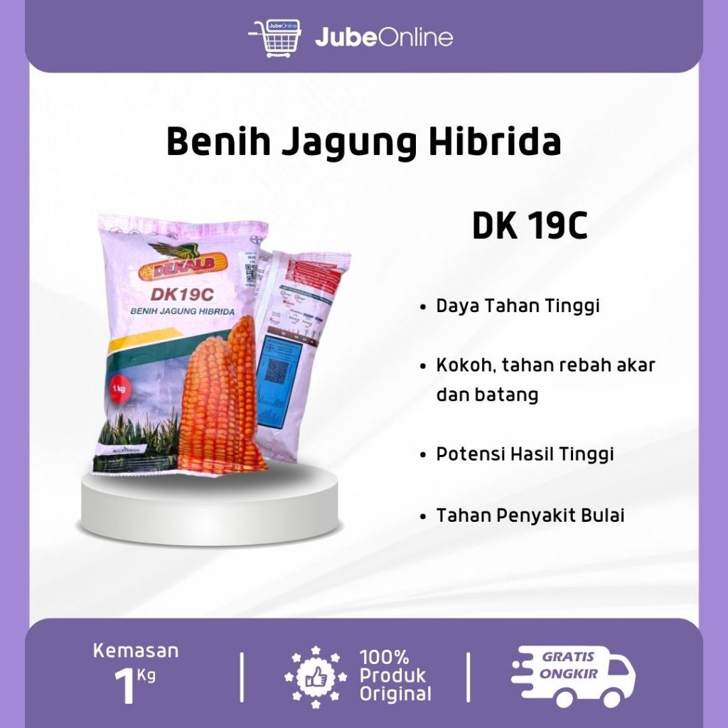 Benih Jagung Hibrida Dekalb DK 19C Cantik - 1Kg