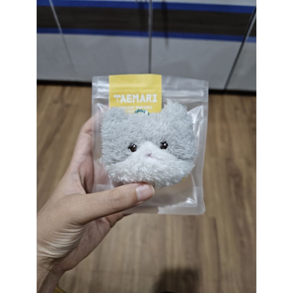 shinee fanlight mini doll keyring ggung ver