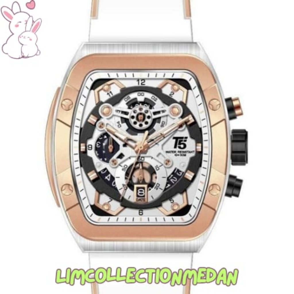 T5 3857 Jam Tangan Pria Original