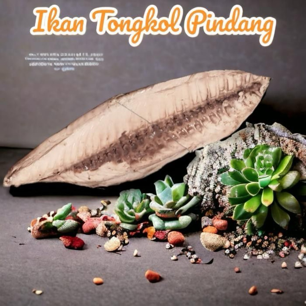 Cuek / Pindang (Tongkol) Potong 500gram
