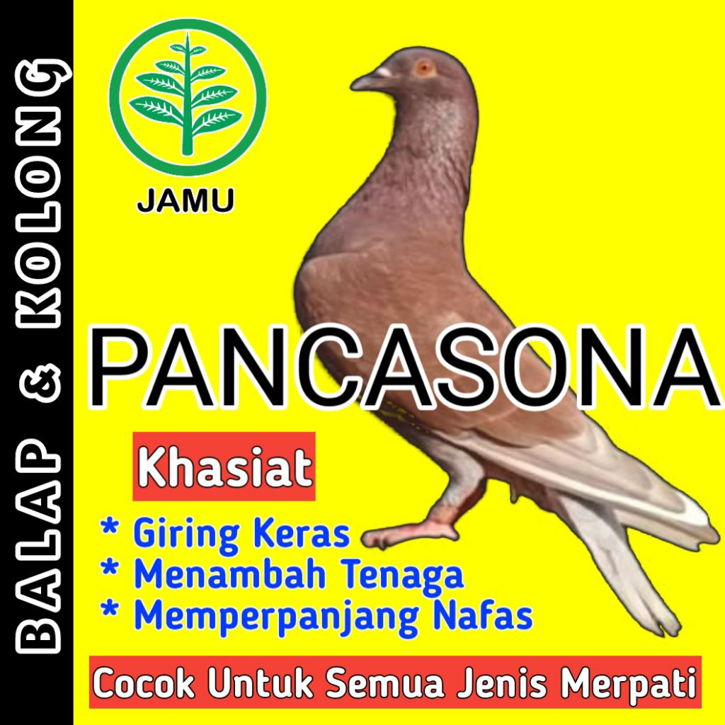 Jamu Untuk Merpati Giring Keras " PANCASONA "