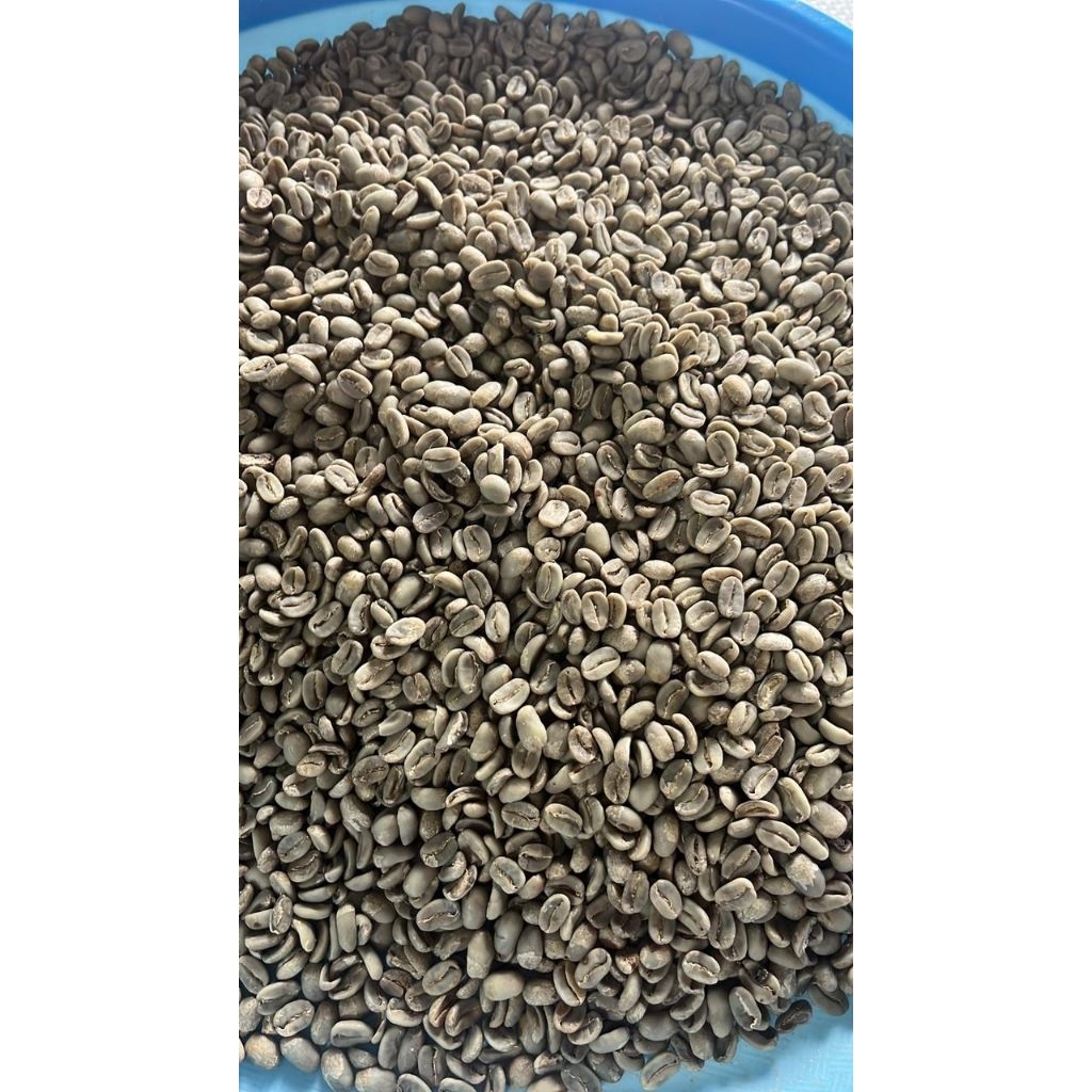 biji kopi green been Wamena/ green bean Papua/ biji kopi green bean Wamena distrik Tanggime/ biji ko