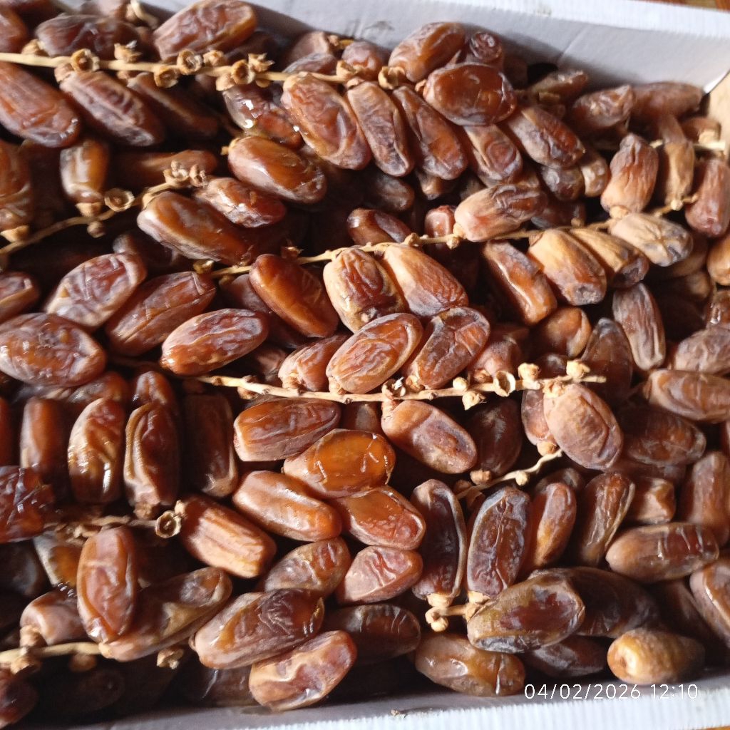 Kurma Tunis Tangkai Tunisia 5kg