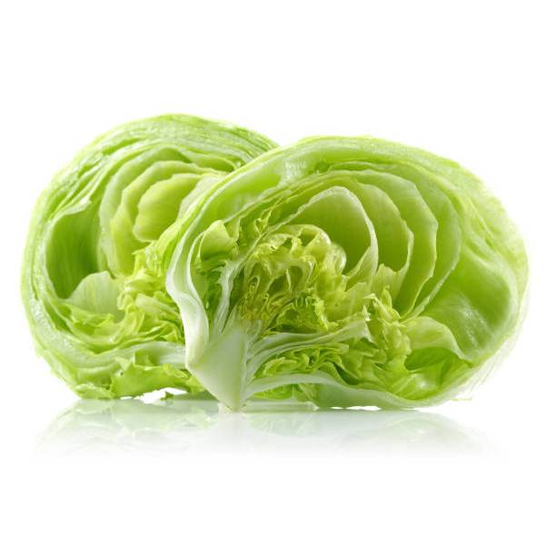 KEBUN INDAH BENIH SELADA ICEBERG