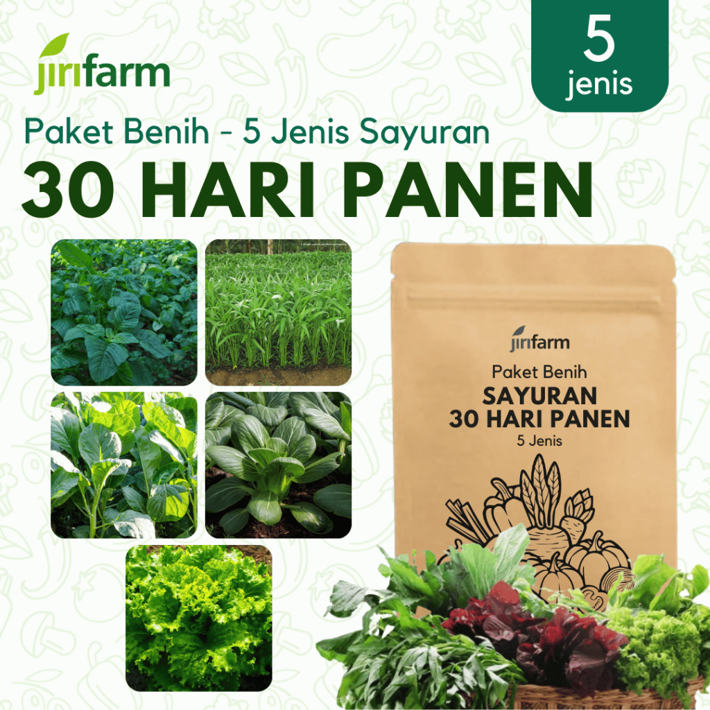 JIRIFARM - Paket Benih Sayuran 30 Hari Panen 5 Jenis Tanaman Sayuran Bibit Seribuan Unggul