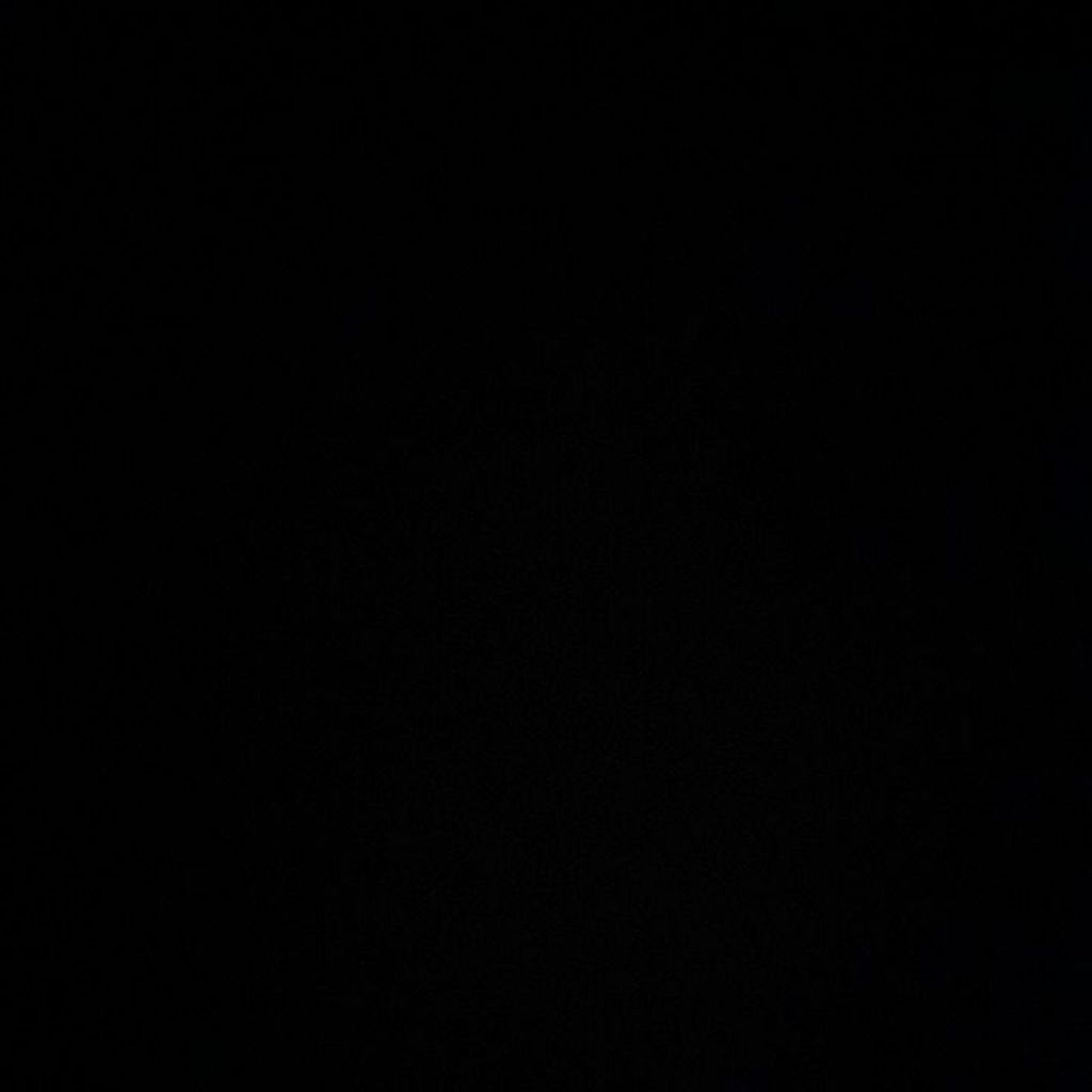 PL ditsy & aura basic