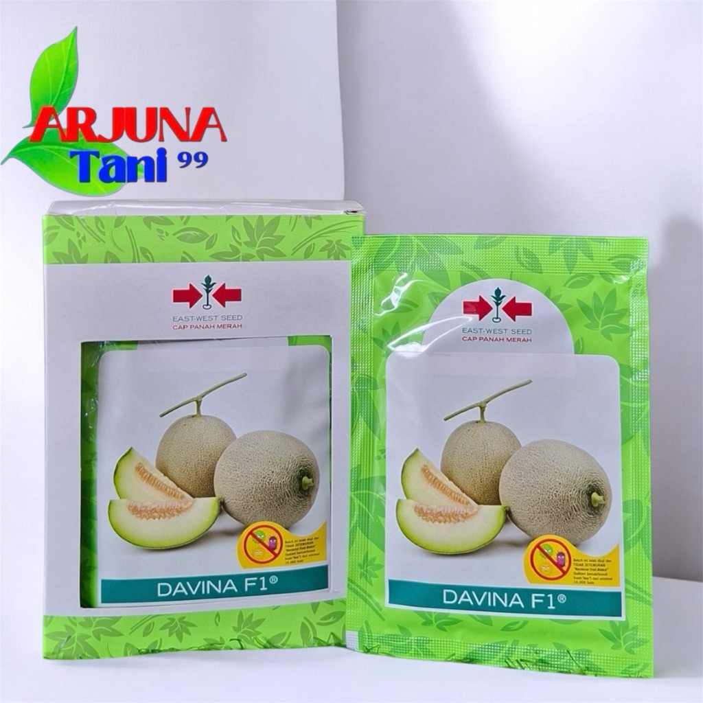 Melon DAVINA F1 isi 500 Butir