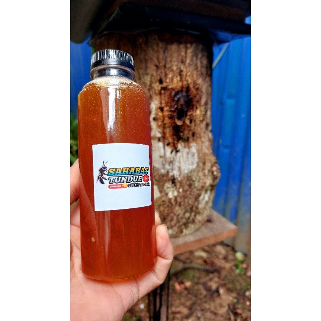 100 ml Madu Original Lebah Trigona Kelulut itama