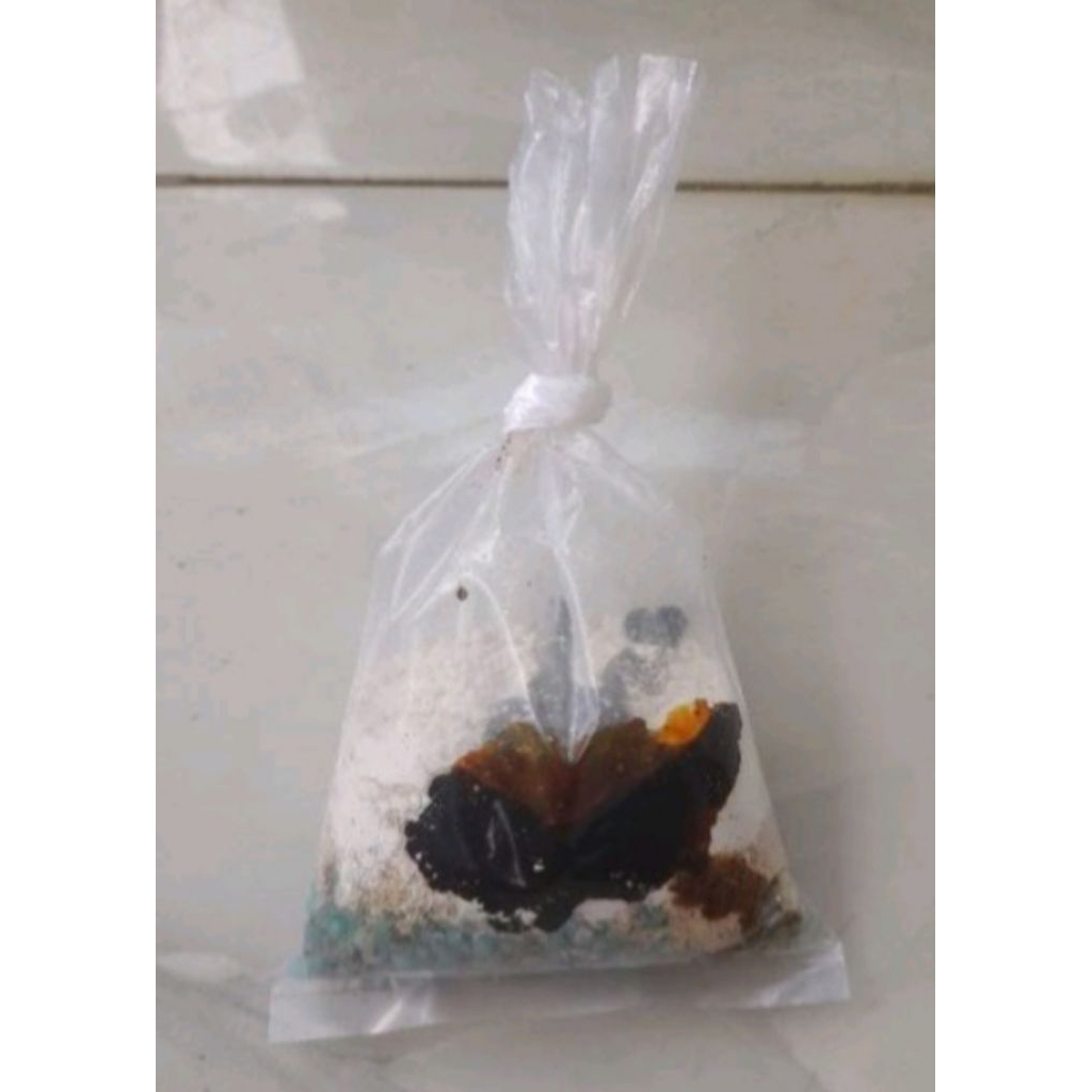 pupuk green water/ chlorella untuk air hijau