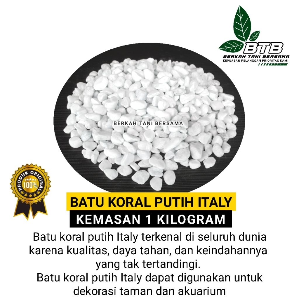 Batu Hias Italy Warna Putih Untuk Aquascape Hiasan Pot Dan Dekorasi Taman Jadi Lebih Elegan