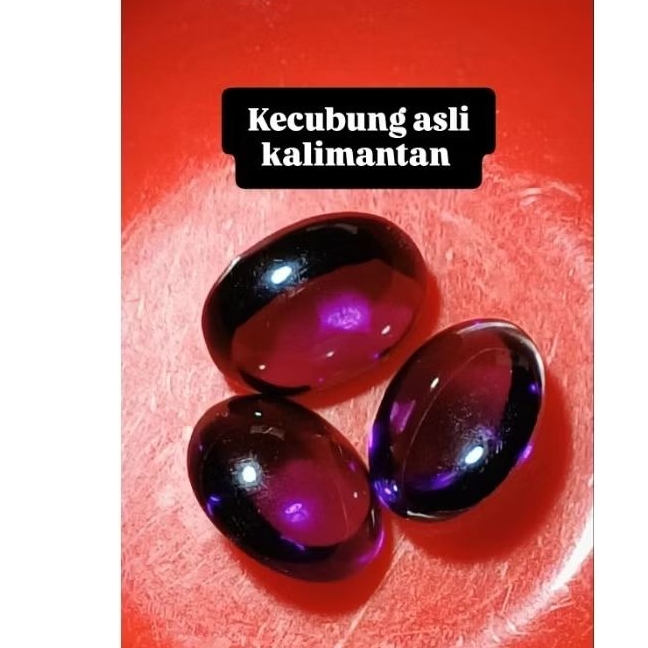 (HANYA BATU) KECUBUNG ASLI KALIMANTAN
