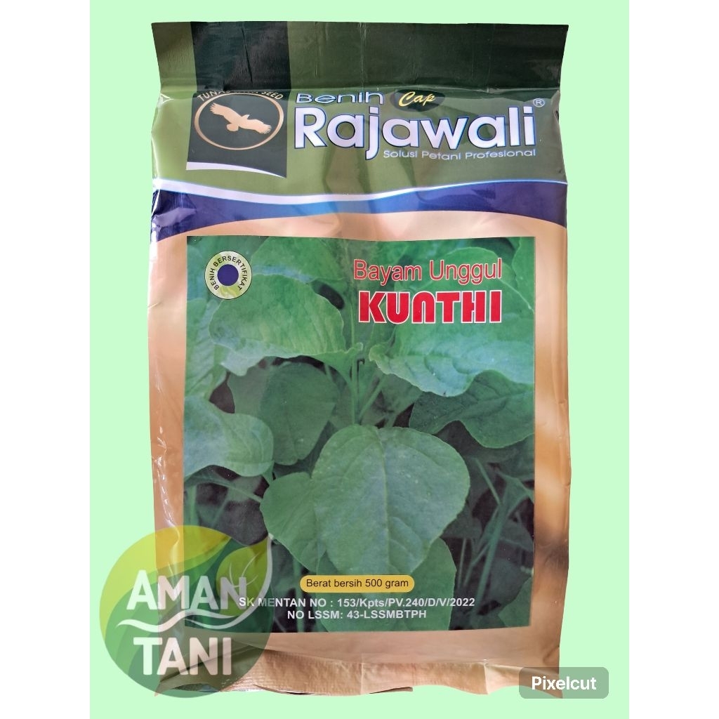 Benih bayam unggul KUNTHI kemasan 500 gram original benih rajawali benih bayam gajih bayam hijau