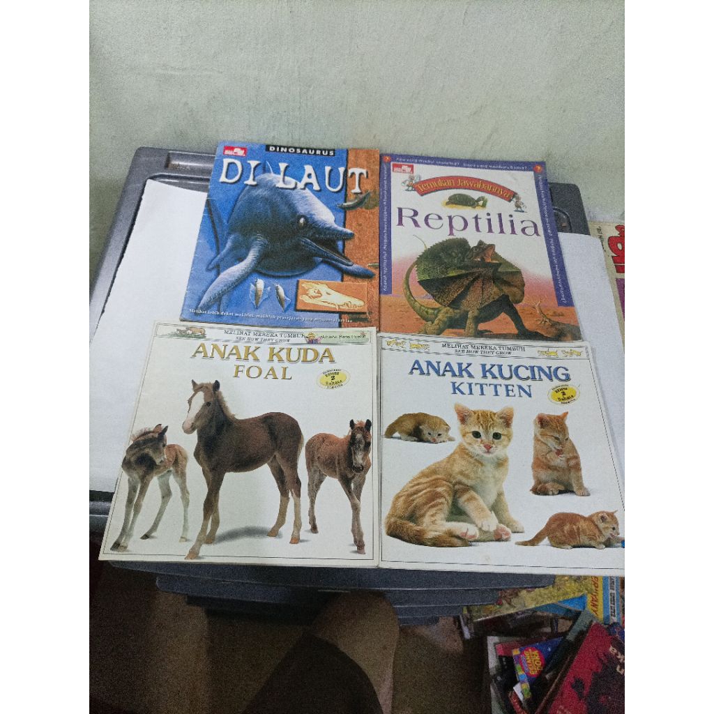 buku pengetahuan anak dinosaurus di laut, temukan jawabannya reptilia, melihat mereka tumbuh anak ku