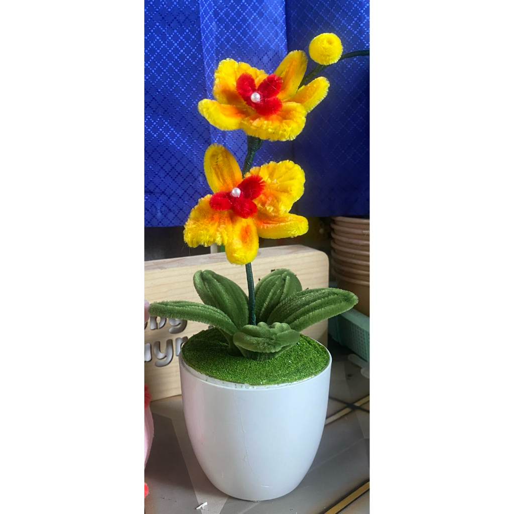 Bunga anggrek kuning