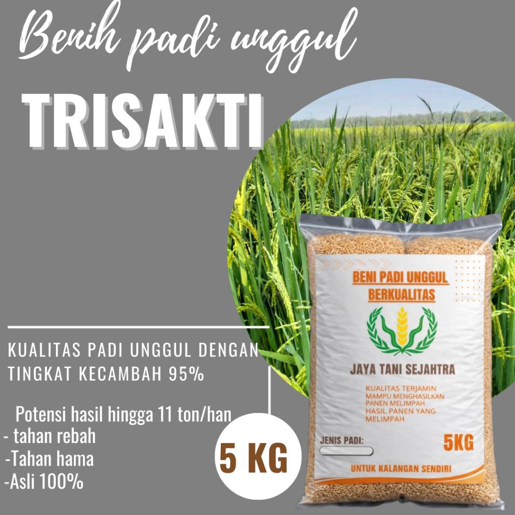 BENIH PADI TRISAKTI 5KG