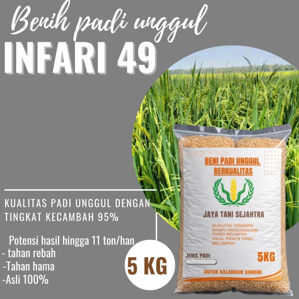 BENIH PADI UNGGUL INFARI 49 KEMASAN 5KG