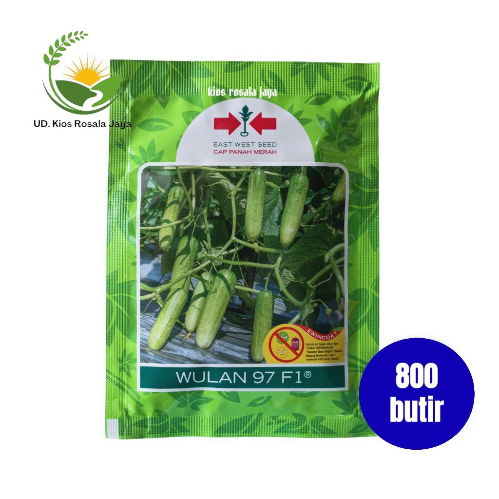 Benih Timun Wulan 97 F1 Isi 800 butir