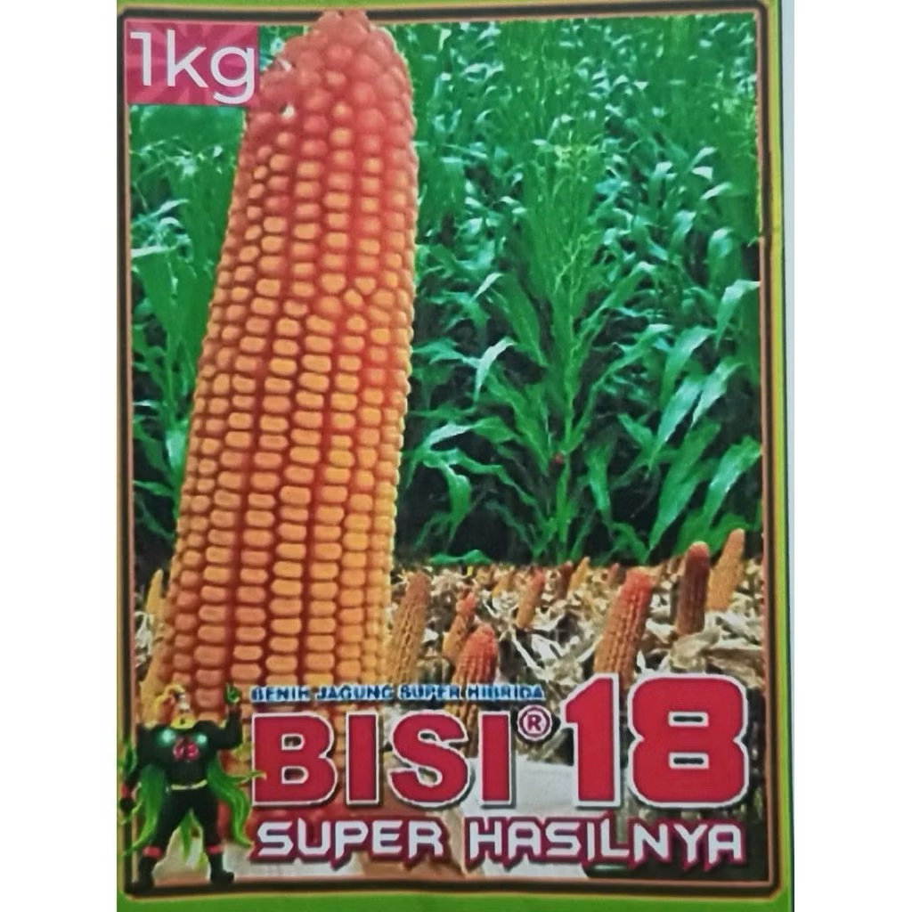 Benih biji jagung BISI 18 super 1kg siap tanam