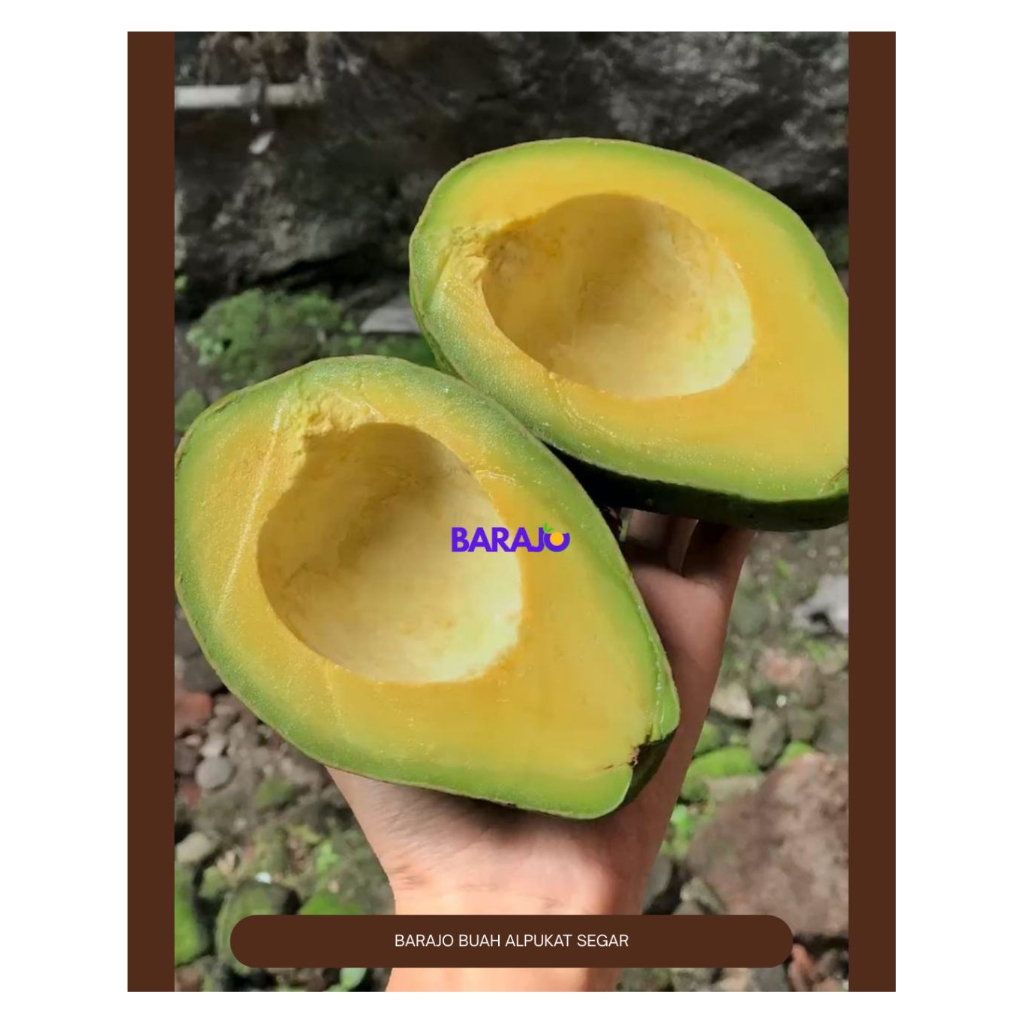 Barajo Buah Alpukat Segar