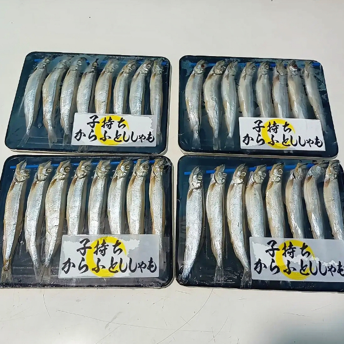 Ikan Shisamo Capelin Premium Full Telur Gurih Segar