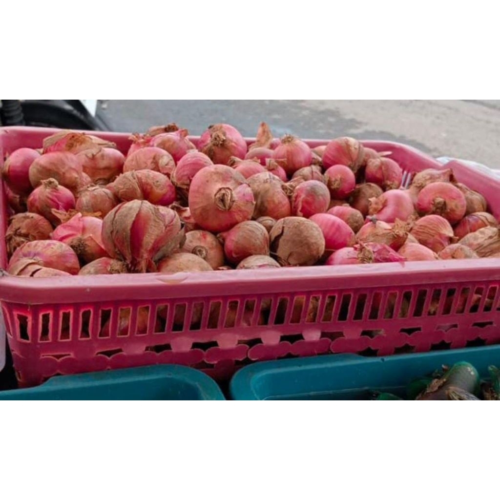 Bawang merah 1kg