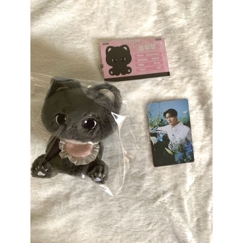 Enhypen doll jay 10cm jjongbooboo