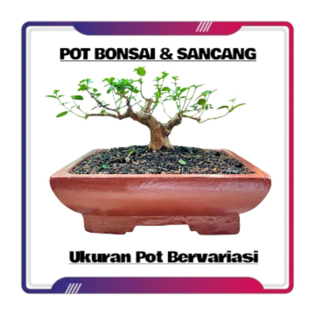 Pot Bonsai Semen Bentuk Kotak dan Bulat Pot Bunga Pot Tanaman Pot Sancang Pot Semen Homemade